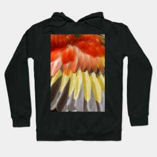 Rainbow Lorikeets Wing Feathers at Magpie Springs by Avril Thomas Hoodie